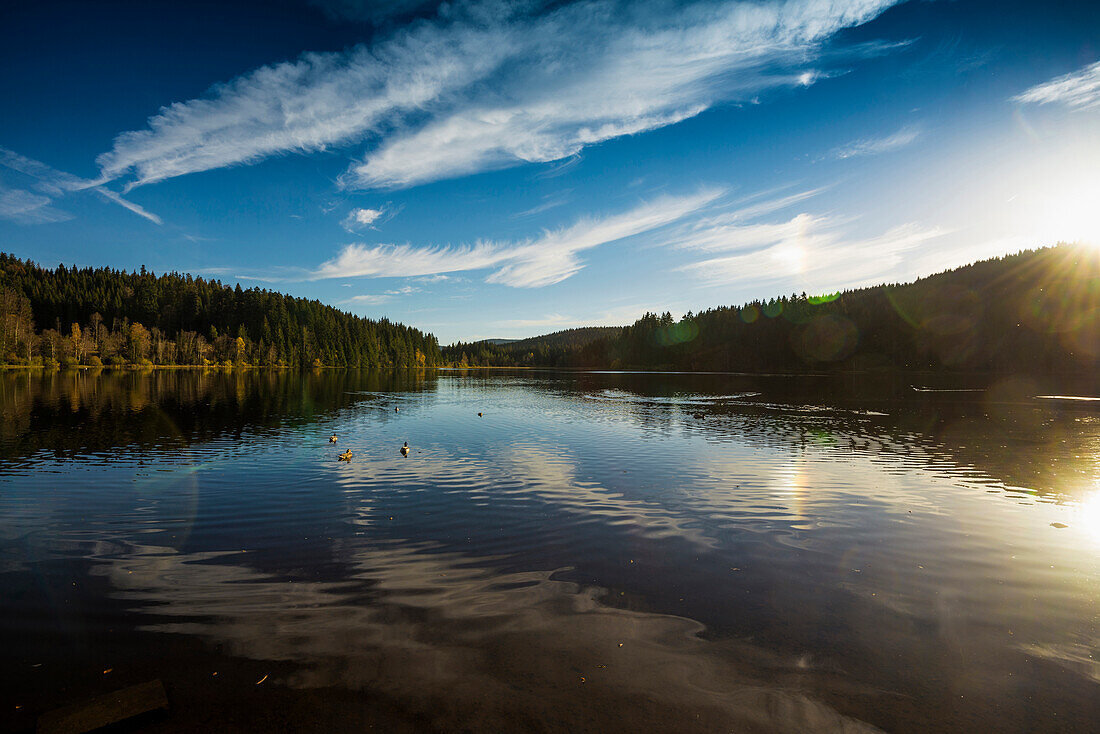 Sonnenuntergang, Spiegelung des Himmels im Windgfällweiher, bei Titisee, Schwarzwald, Baden-Württemberg, Deutschland