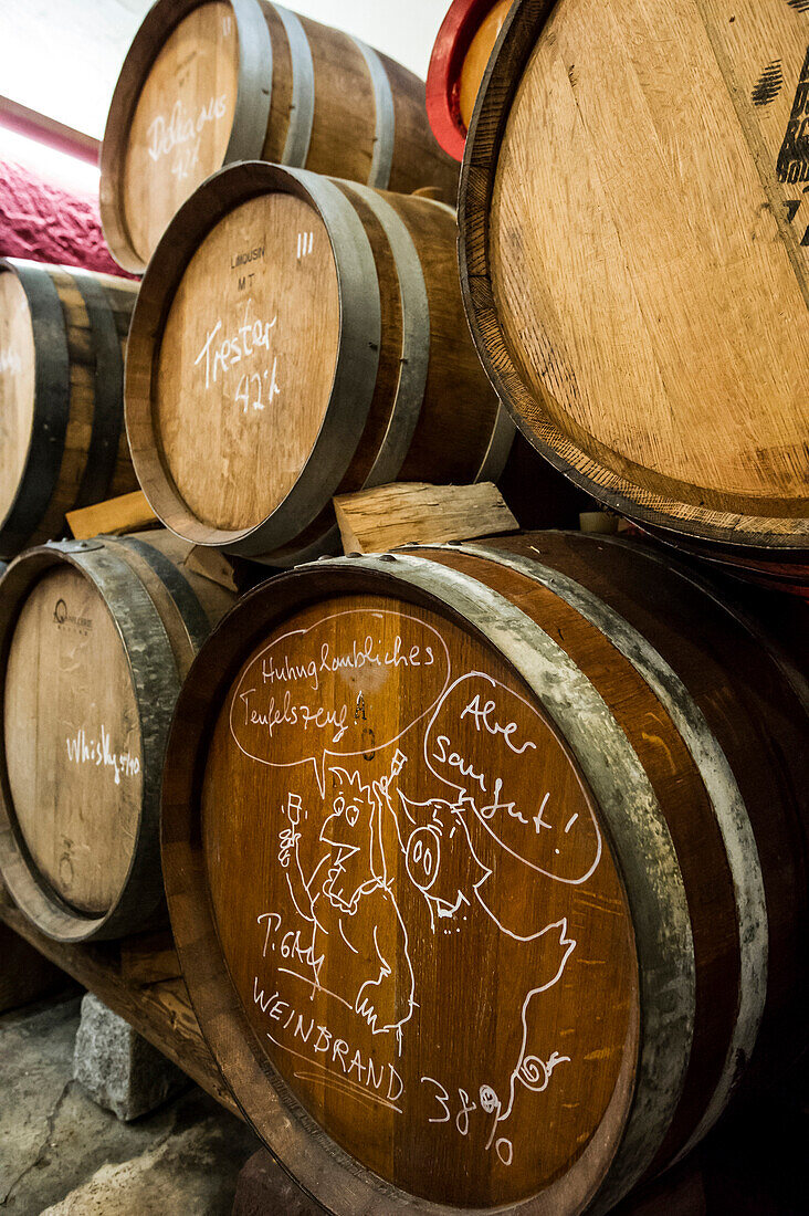 Barrels in the distillery, Schnaps, Schallstatt, Markgraeflerland, Black Forest, Baden-Wuerttemberg, Germany