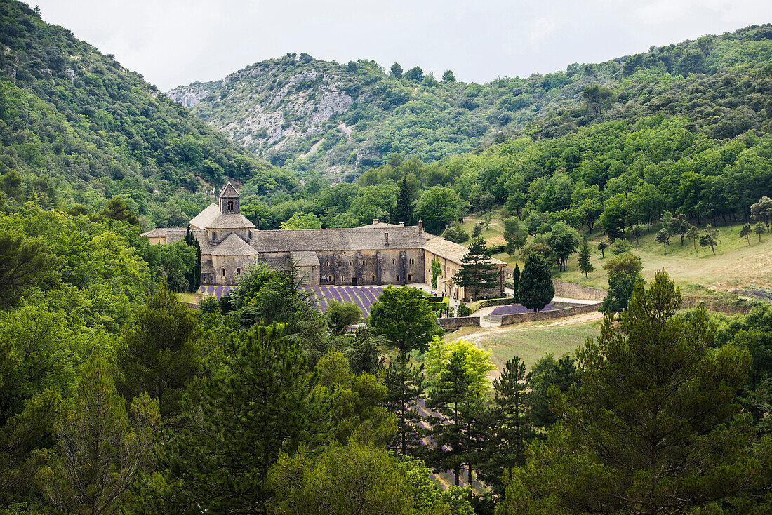 Zisterzienserabtei Notre Dame de Sénanque, bei Gordes, Département Vaucluse, Provence-Alpes-Côte d´Azur, Provence, Frankreich