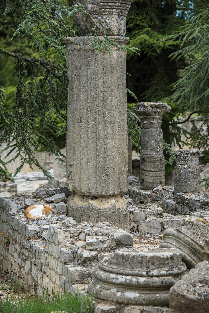 Roman excavations, Vaison-la-Romaine, Departement Vaucluse, Provence-Alpes-Cote d´Azur, Provence, France