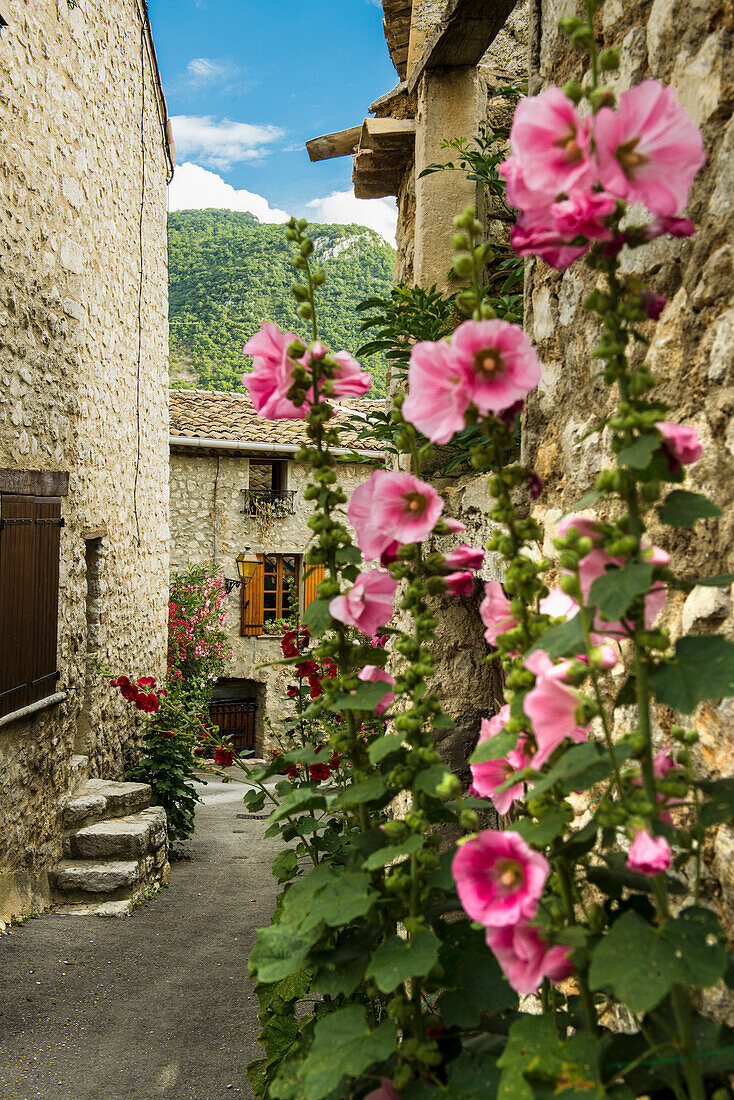 La Roche sur le Bois, bei Buis-les-Baronnies, Département Drome, Region Rhones-Alpes, Provence, Frankreich