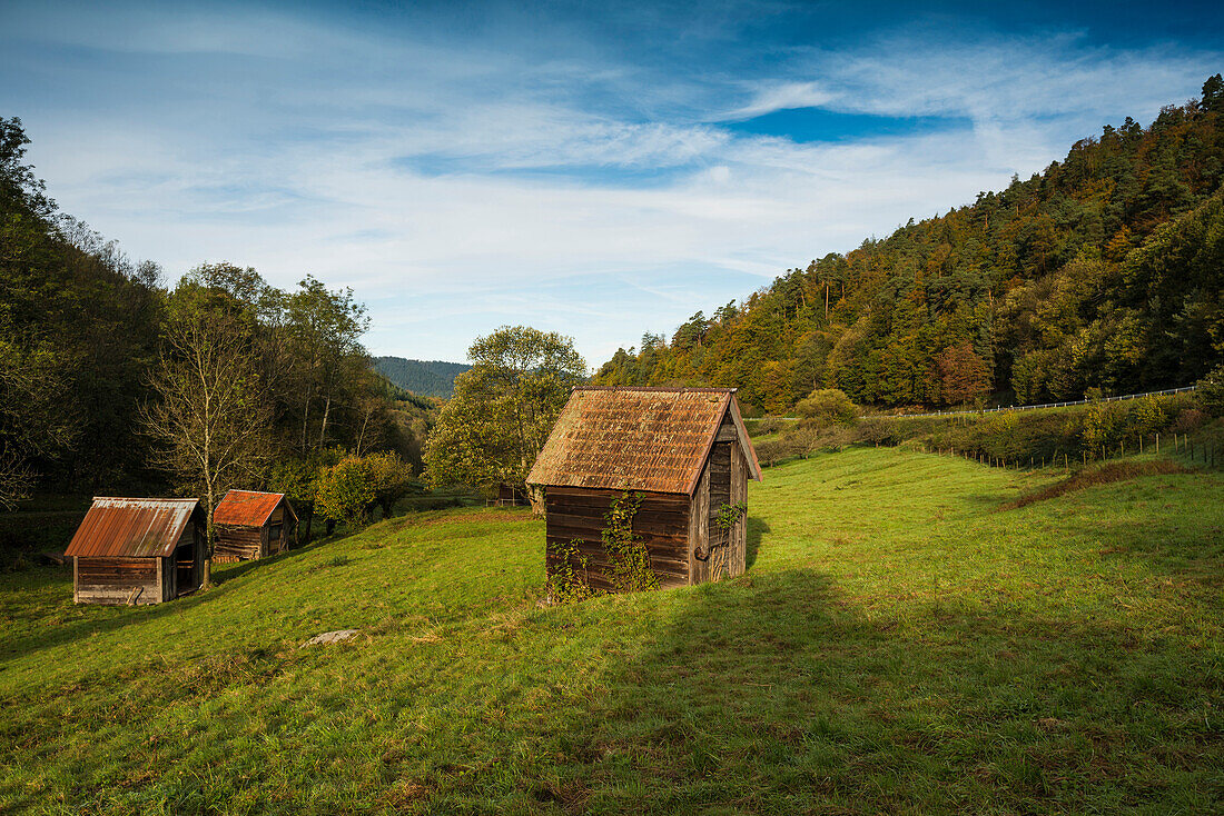 Huts near Gernsbach, Murg valley, district of Rastatt, Black Forest, Baden-Wuerttemberg, Germany