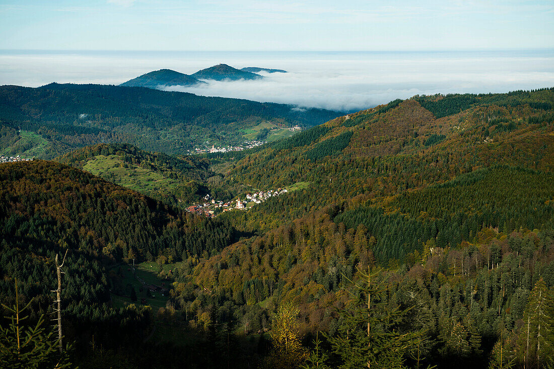 Panoramic view, Murg valley, district of Rastatt, Black Forest, Baden-Wuerttemberg, Germany