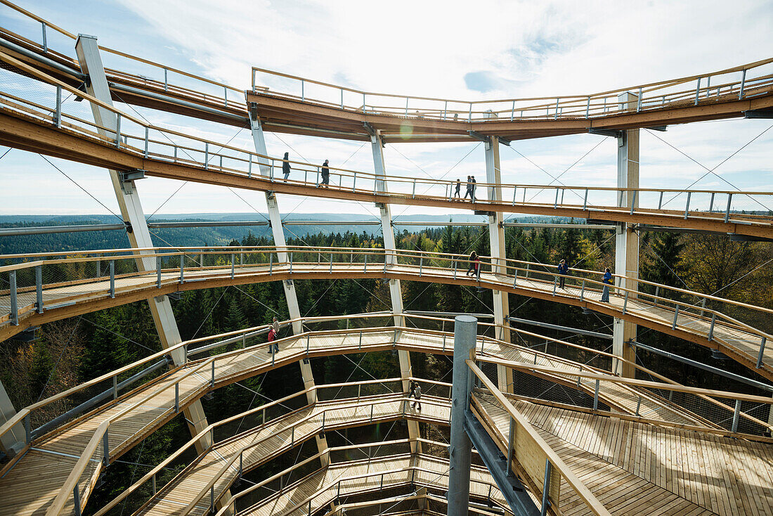 Tree top walk, Bad Wildbad, district of Calw, Black Forest, Baden-Wuerttemberg, Germany
