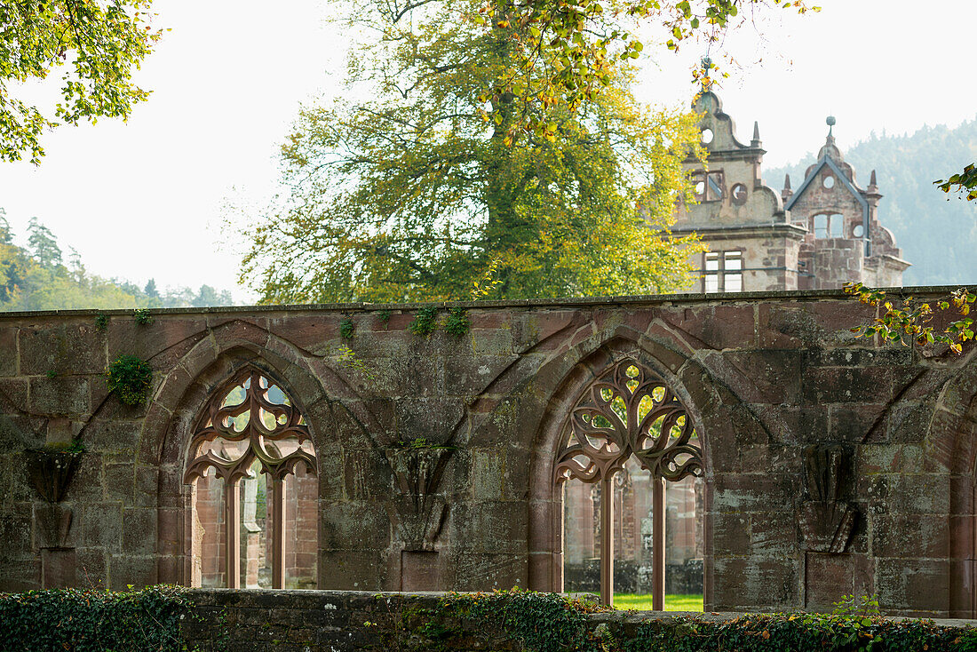 Kloster Hirsau, Calw, Schwarzwald, Baden-Württemberg, Deutschland