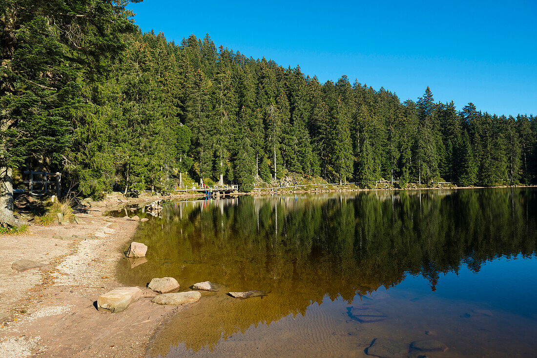 Lake Mummelsee, Seebach, near Achern, Black Forest, Baden-Wuerttemberg, Germany