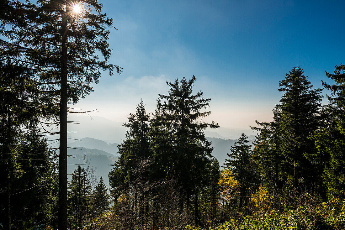 Schliffkopf, Schwarzwaldhochstrasse, Black Forest, Baden-Wuerttemberg, Germany