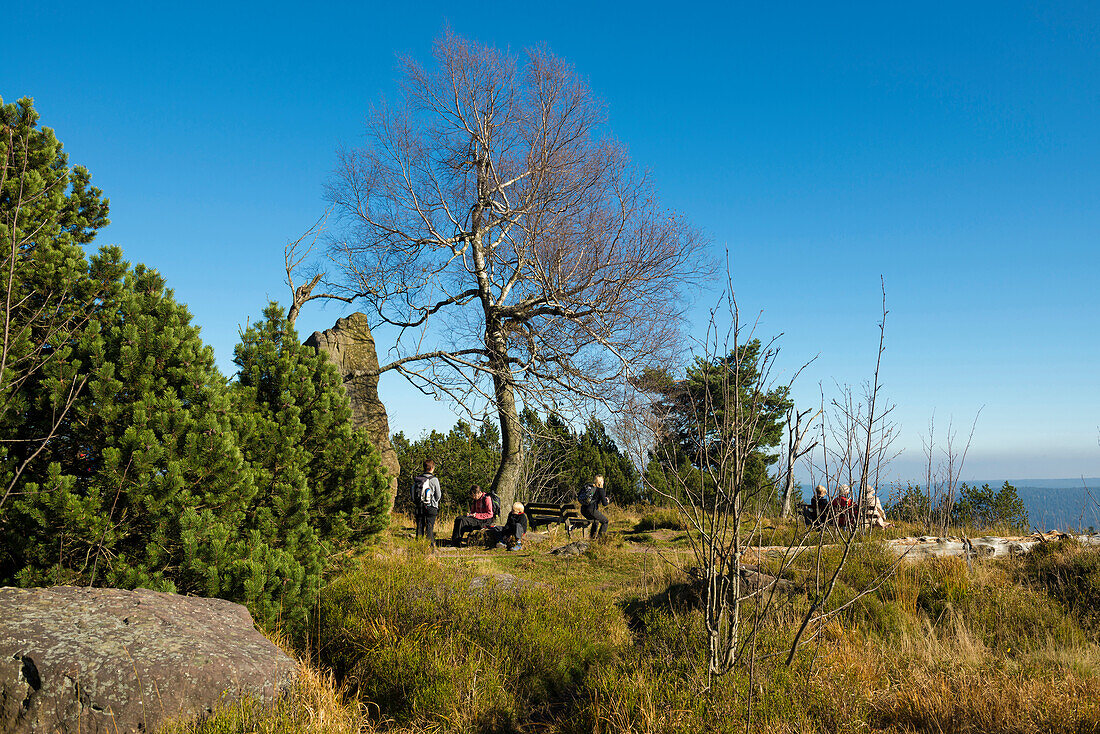 Schliffkopf, Schwarzwaldhochstrasse, Black Forest, Baden-Wuerttemberg, Germany