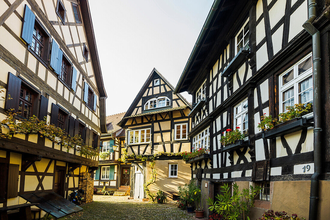 Timber frame houses, Gengenbach, Black Forest, Baden-Wuertemberg, Germany