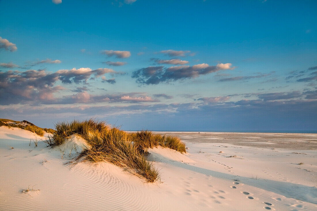 Dunes and beach, Amrum Island, North Frisian Islands, Schleswig-Holstein, Germany