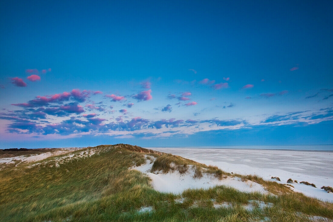 Dunes and beach, Amrum Island, North Frisian Islands, Schleswig-Holstein, Germany