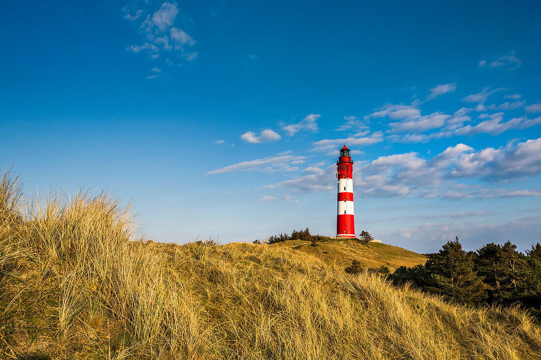 Lighthouse in the dunes, Amrum Island, North Frisian Islands, Schleswig-Holstein, Germany