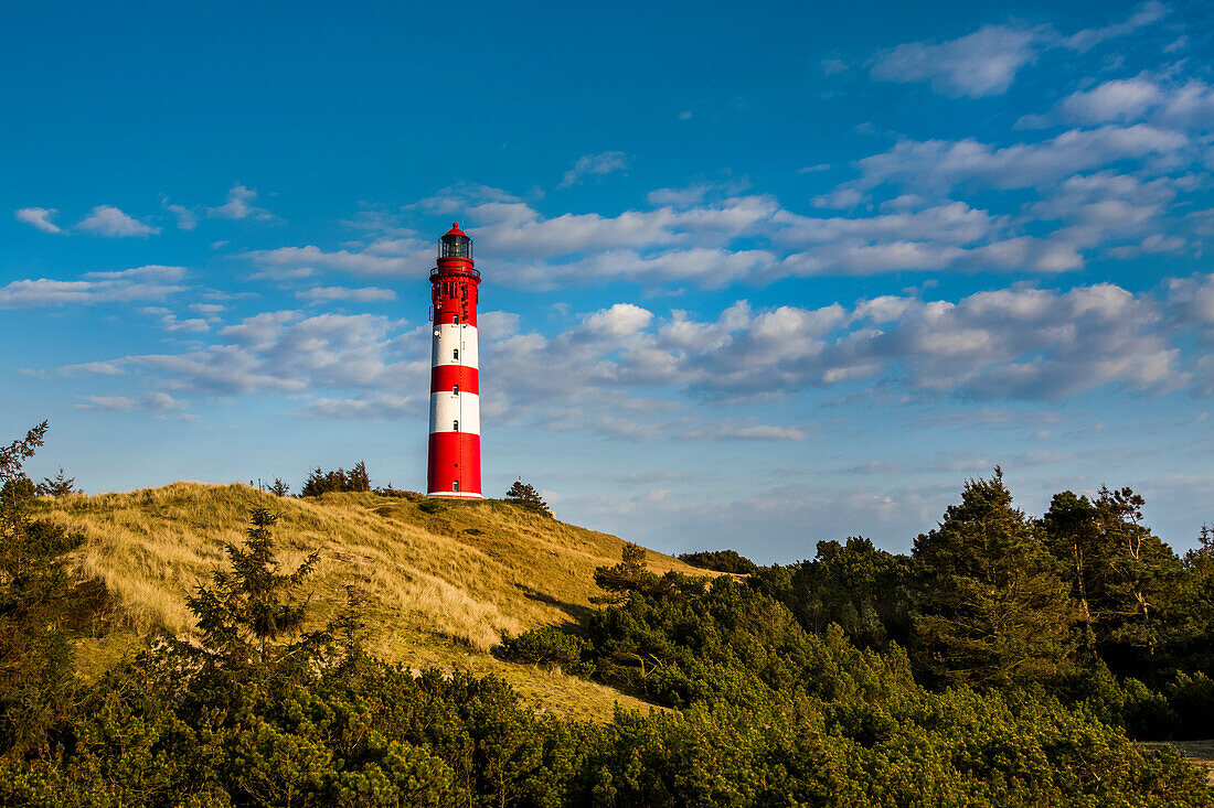 Leuchtturm in den Dünen, Amrum, Nordfriesische Inseln, Nordfriesland, Schleswig-Holstein, Deutschland