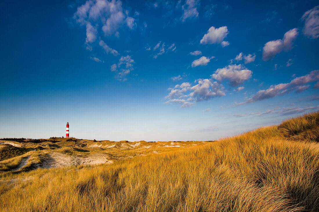 Lighthouse in the dunes, Amrum Island, North Frisian Islands, Schleswig-Holstein, Germany