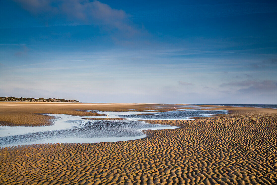 Beach, Amrum Island, North Frisian Islands, Schleswig-Holstein, Germany