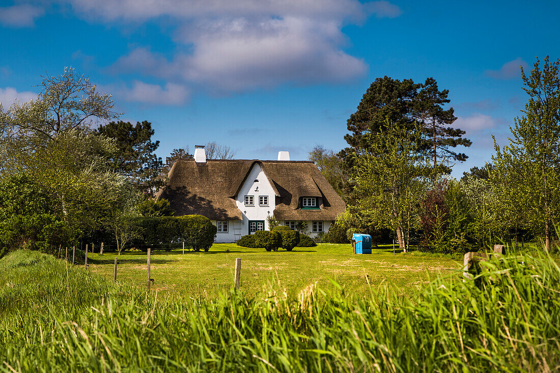 Thatched house, Nebel, Amrum Island, North Frisian Islands, Schleswig-Holstein, Germany