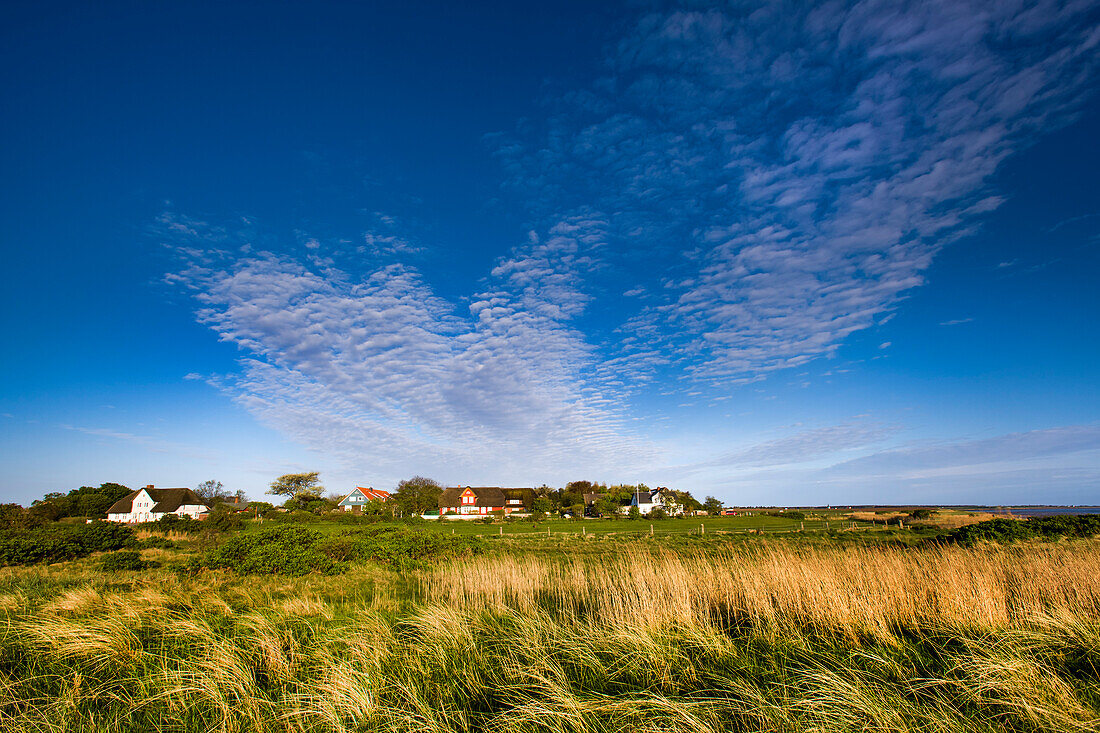 Steenodde village, Amrum Island, North Frisian Islands, Schleswig-Holstein, Germany