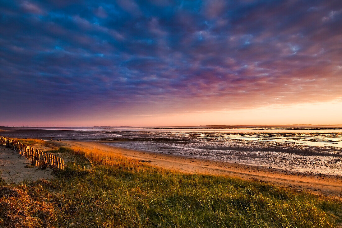 Sonnenaufgang über dem Wattenmeer, Steenodde, Amrum, Nordfriesische Inseln, Nordfriesland, Schleswig-Holstein, Deutschland