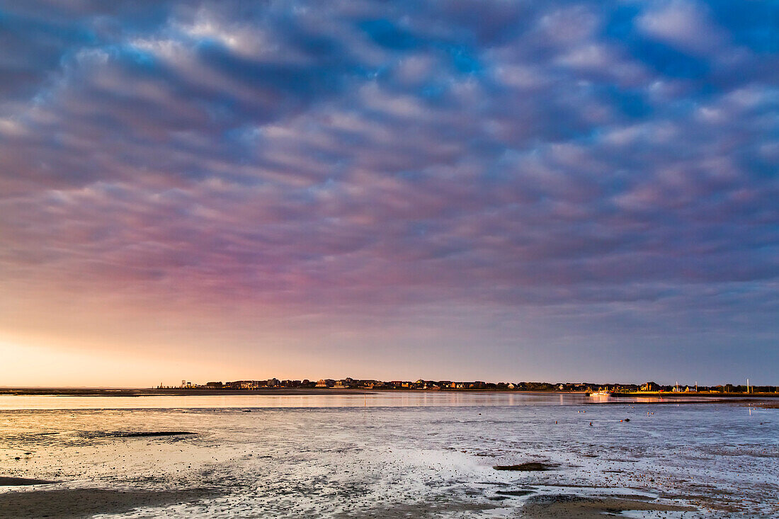 Sunrise over the wadden sea, Amrum Island, North Frisian Islands, Schleswig-Holstein, Germany