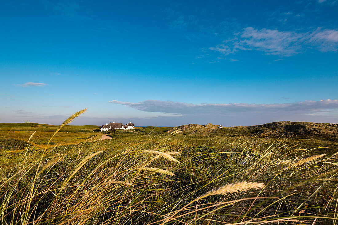 Thatched house, Kampen, Sylt Island, North Frisian Islands, Schleswig-Holstein, Germany