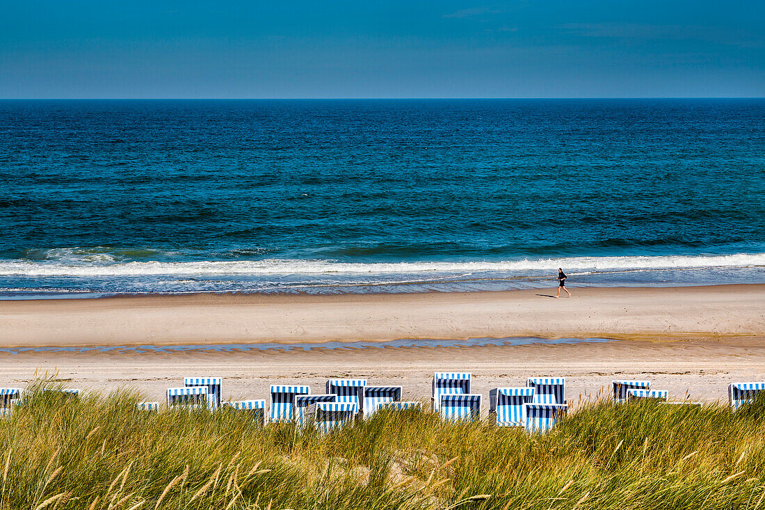 Strandkörbe am Strand, Kampen, Sylt, Nordfriesland, Schleswig-Holstein, Deutschland