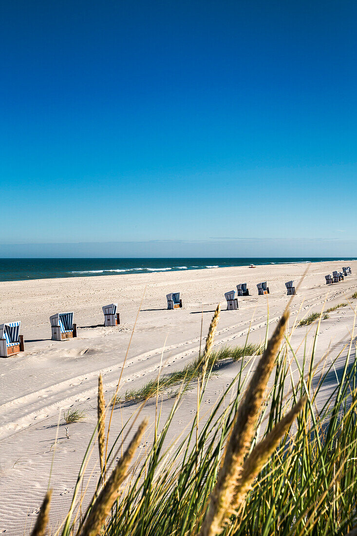 Beach chairs and dunes, Sylt Island, North Frisian Islands, Schleswig-Holstein, Germany