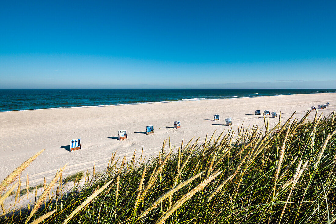 Beach chairs and dunes, Sylt Island, North Frisian Islands, Schleswig-Holstein, Germany
