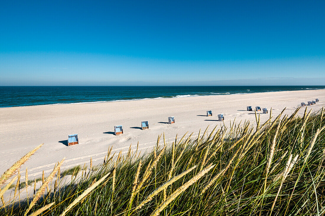 Strandkörbe und Dünen, Sylt, Nordfriesland, Schleswig-Holstein, Deutschland