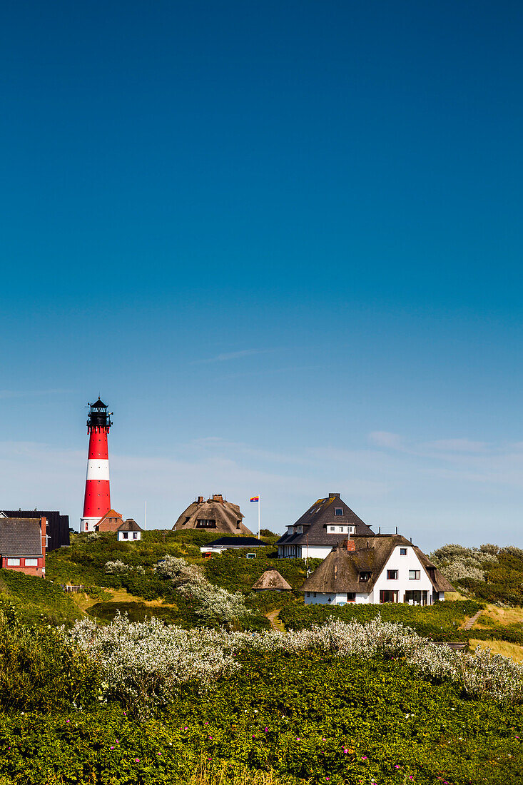 Thatched houses and lighthouse, Hoernum, Sylt Island, North Frisian Islands, Schleswig-Holstein, Germany