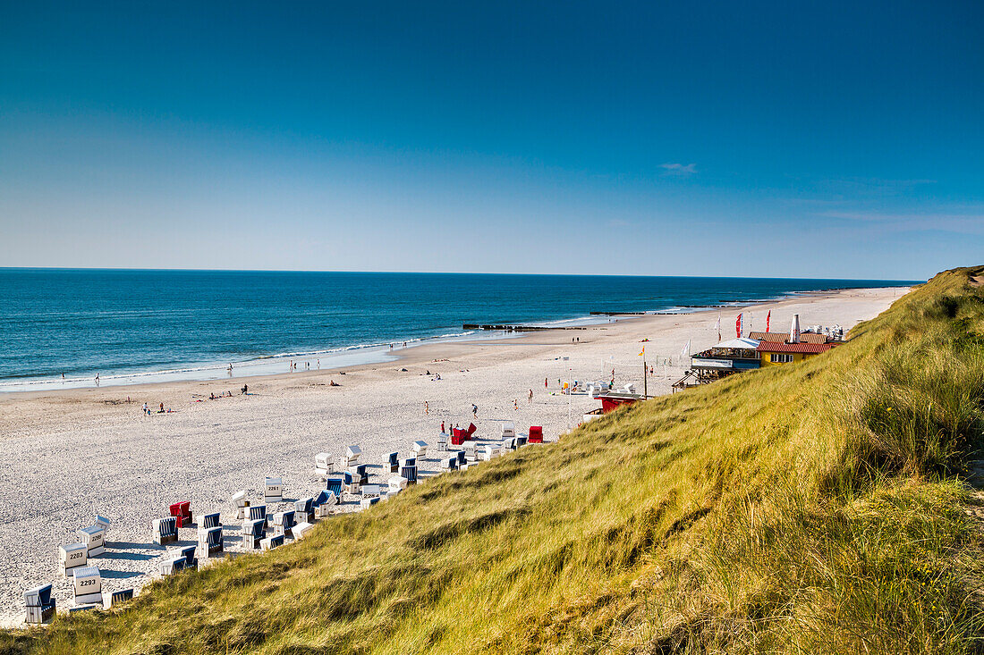 Beach and dunes, Wenningstedt, Sylt Island, North Frisian Islands, Schleswig-Holstein, Germany