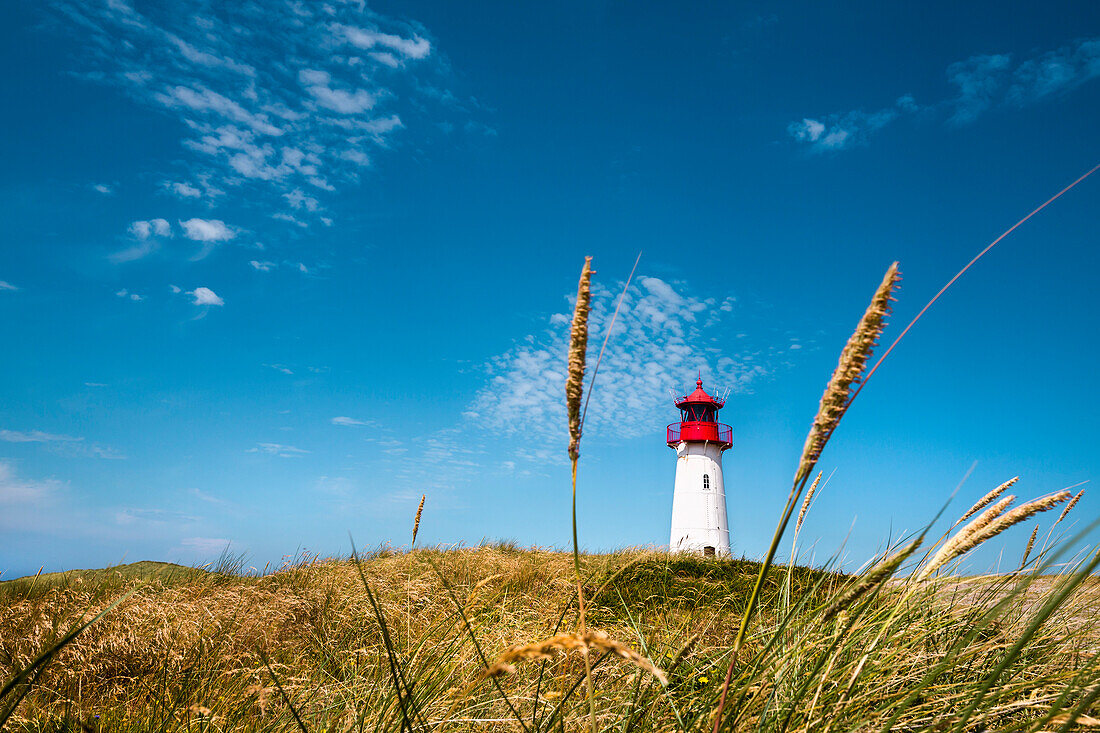 List west Lighthouse, Ellenbogen, Sylt Island, North Frisian Islands, Schleswig-Holstein, Germany