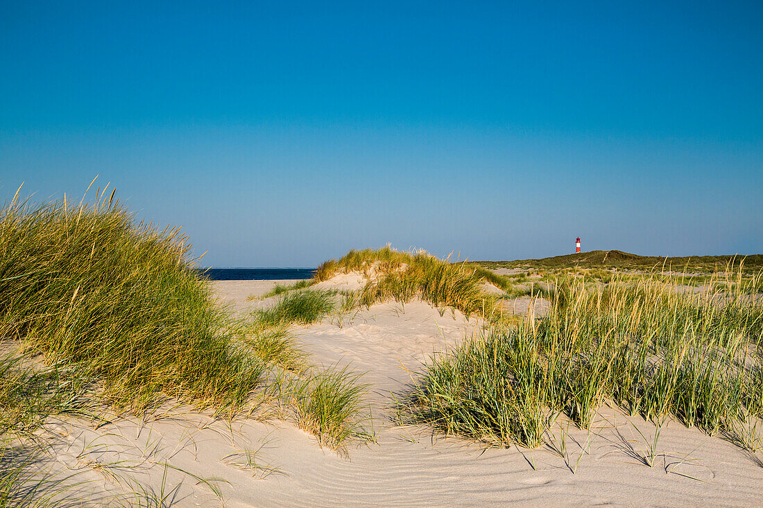 Beach and List East lighthouse, Ellenbogen, Sylt Island, North Frisian Islands, Schleswig-Holstein, Germany