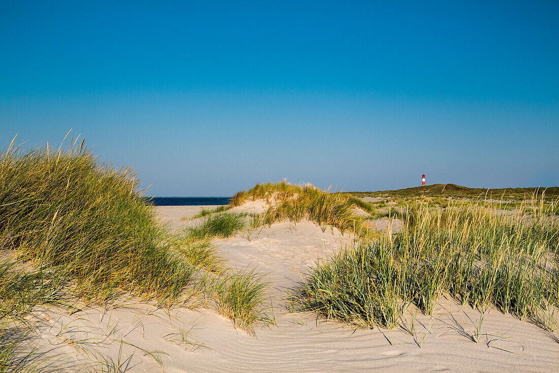 Strand, Leuchtturm List-Ost, Ellenbogen, Sylt, Nordfriesland, Schleswig-Holstein, Deutschland