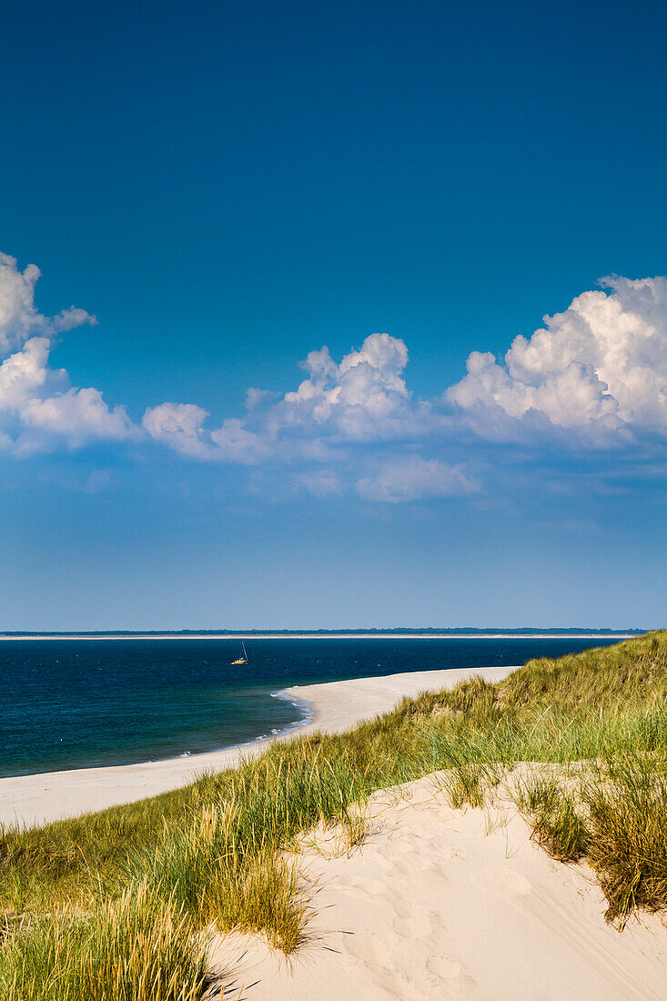 Dünen, Ellenbogen, Sylt, Nordfriesland, Schleswig-Holstein, Deutschland