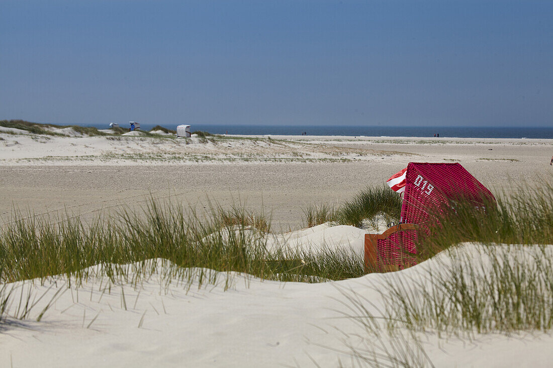 Beach chair in a sandbank, North sea Coast, Amrum, Schleswig Holstein, Germany