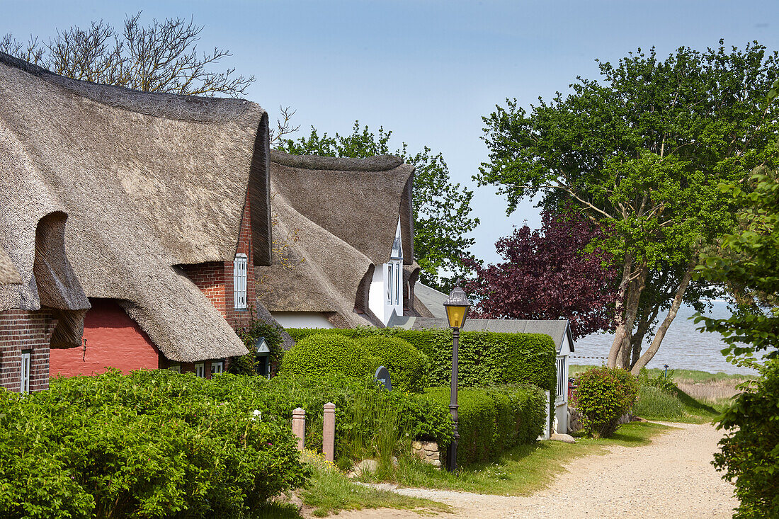 Cottages in Nebel, Amrum, Schleswig Holstein, Germany