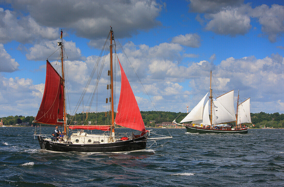 Kiel week, Sailing boats on the Kiel Fjord, Schleswig Holstein, Germany