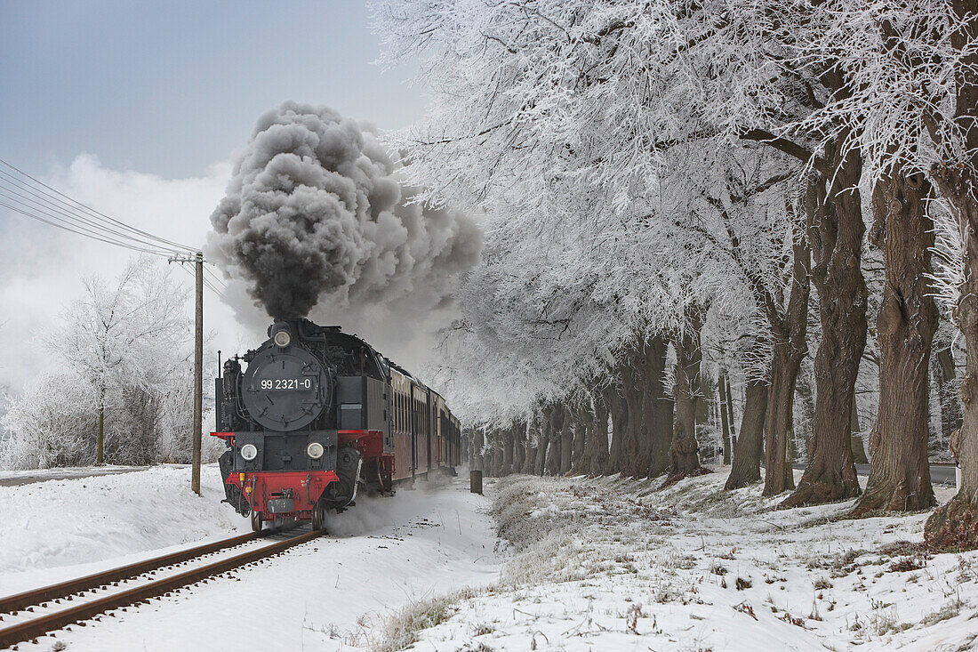 Mecklenburgische Baederbahn steam train,near Heiligendamm, Mecklenburg Western Pomerania, Germany