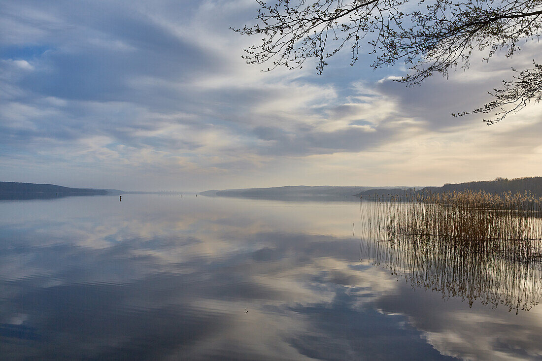 Reflection of the sky in the water at lake Tollensee, Neubrandenburg, Mecklenburg Western Pomerania, Germany