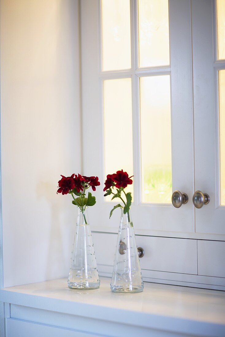 Two vases with red flowers on the shelf on a white kitchen cupboard with opaque glass doors