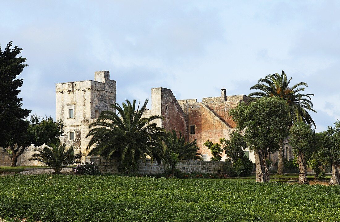 Romantic castle in Italy with palms in the large grounds