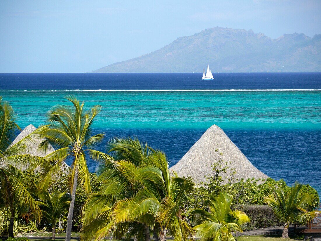 French Polynesia, leeward islands archipelago, island of Tahiti, Hotel Intercontinental shore line and Moorea island at back