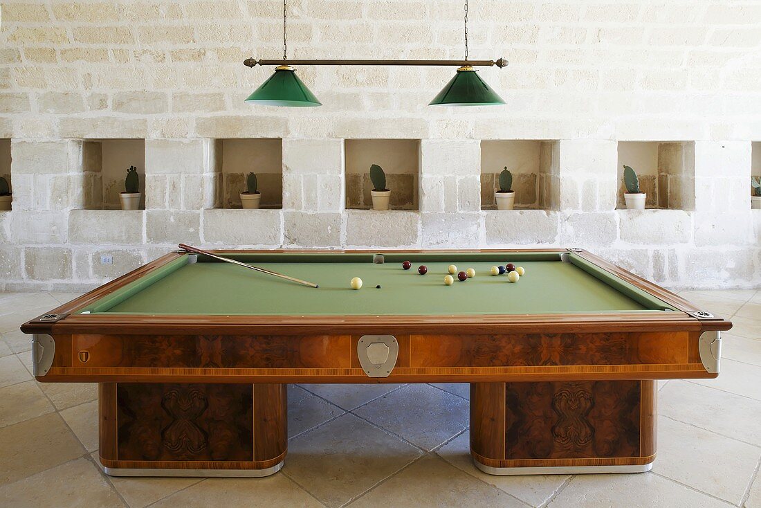 Billiard table in a hall in front of stone wall with cactus in the wall niches