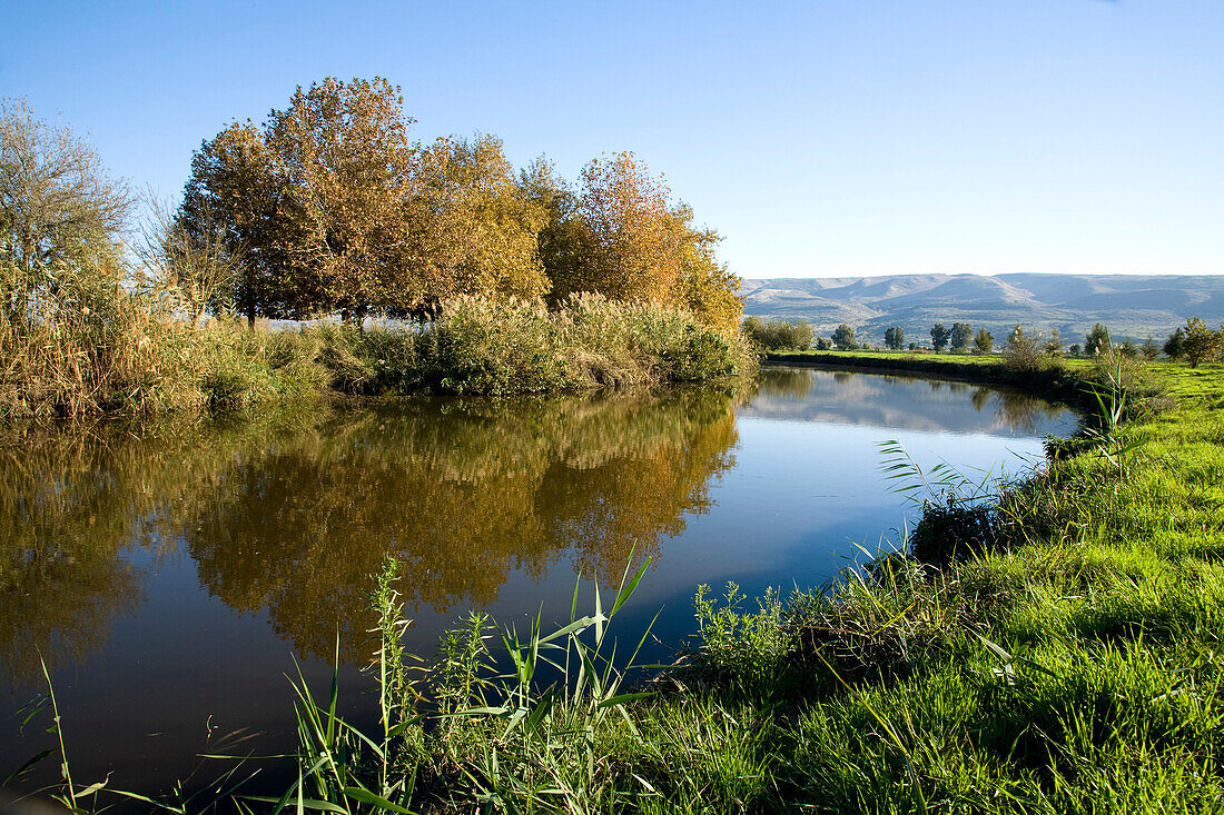 Photograph of the Chula pond in the Upper Galilee