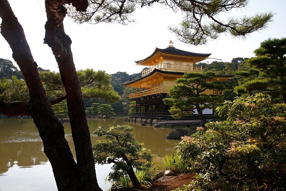 Kinkakuji-Tempel, Der Goldene Pavillon, Rokuon-ji-Tempel, Kyoto, Japan.