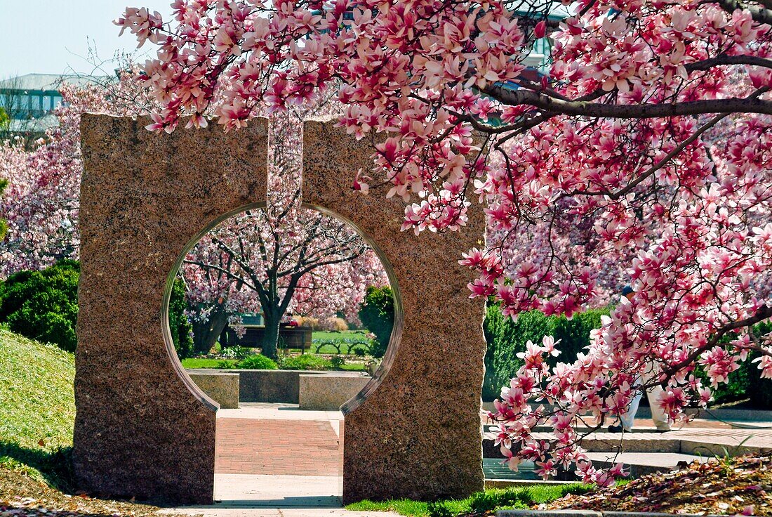 United States, Washington, District of Columbia, Smithsonian Ripley Garden at the Castle on the Mall