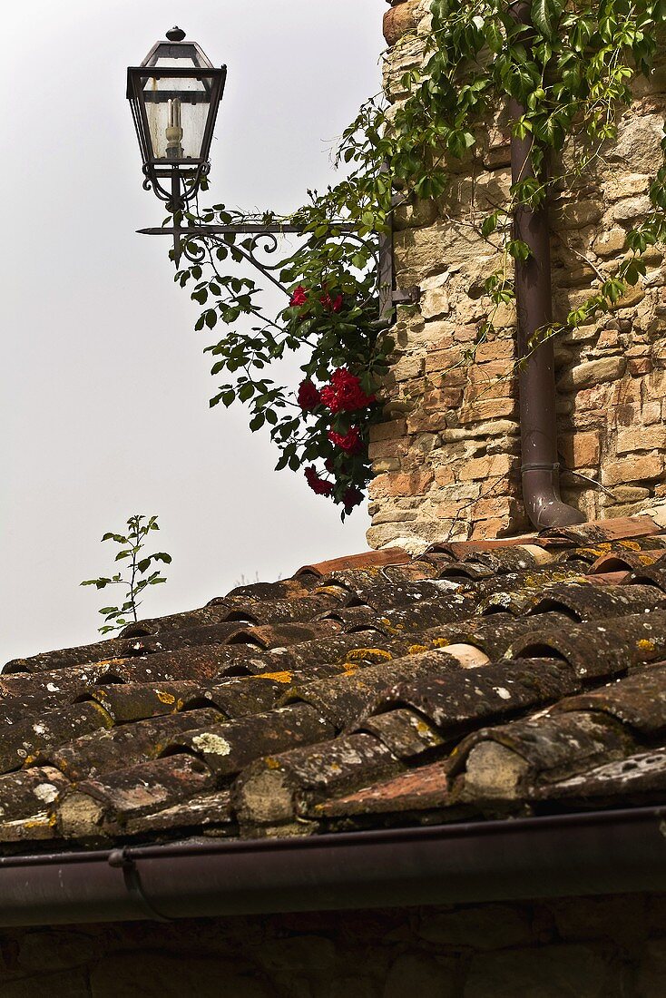 A lantern jutting out from the corner of a house and a view of an old tile roof