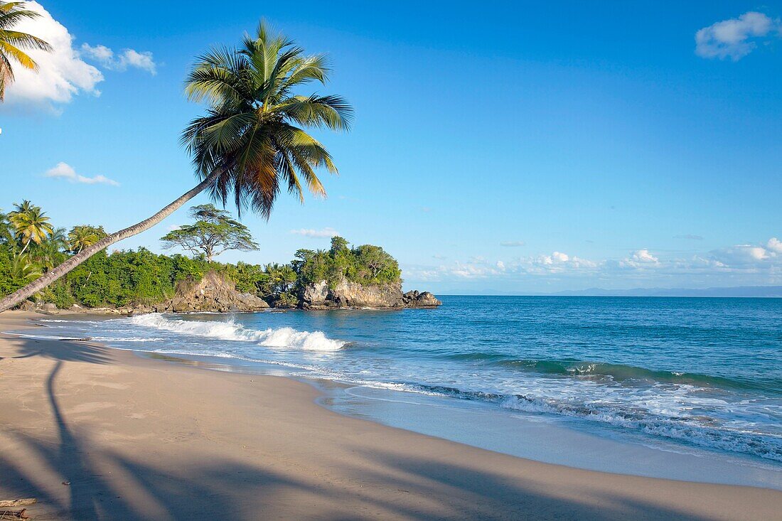 Los Cacaos beach  Samana Peninsula, Dominican Republic, West Indies, Caribbean