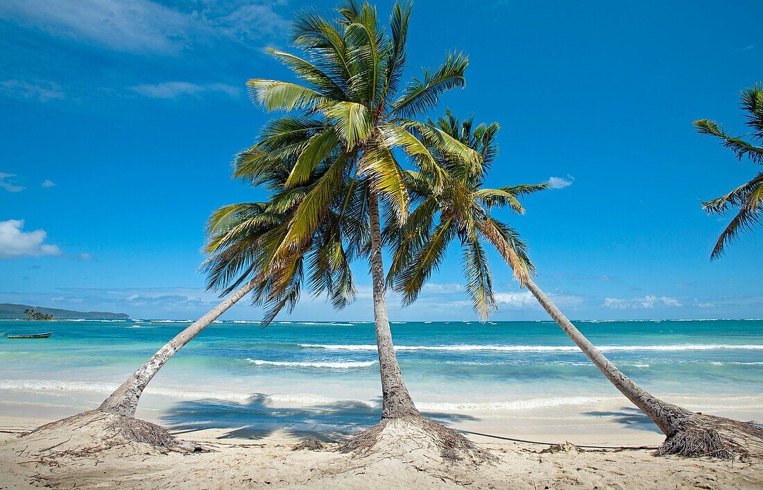 Beach, Las Galeras, Samana Peninsula, Dominican Republic, West Indies, Caribbean