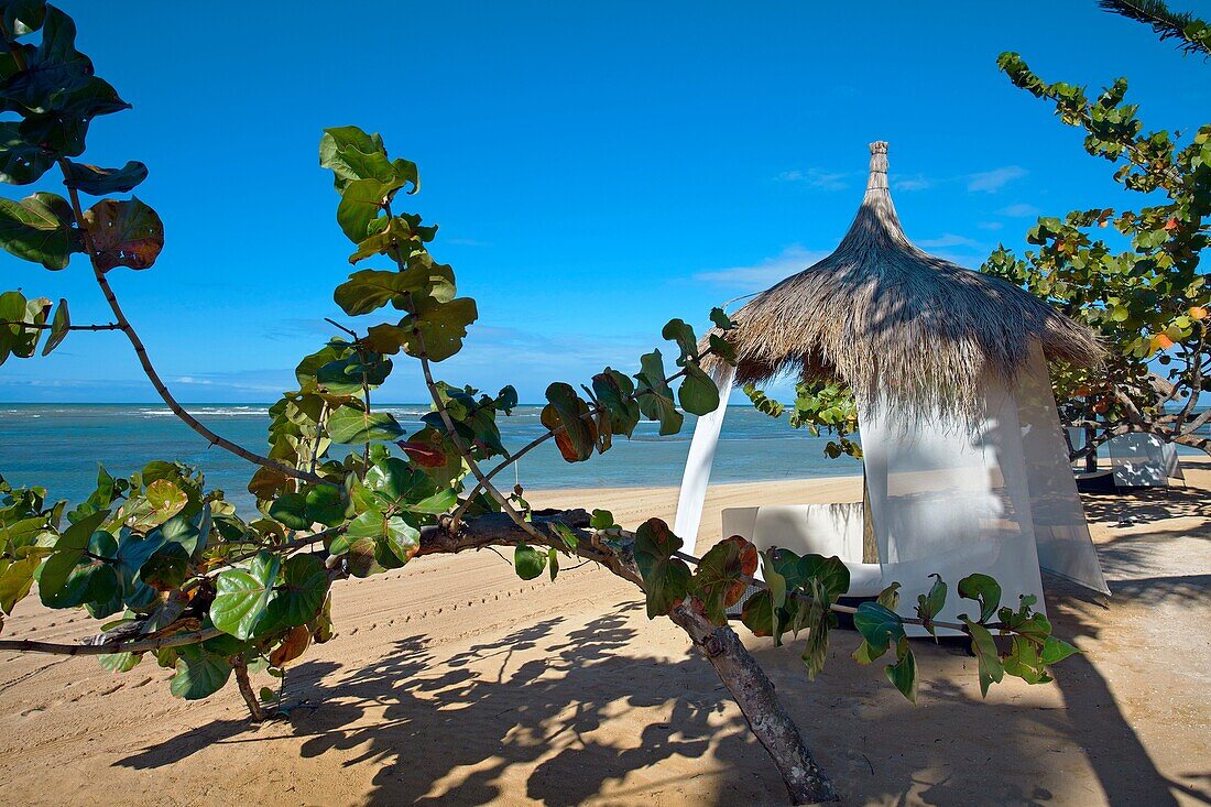 Beach, Las Terrenas, Samana Peninsula, Dominican Republic, West Indies, Caribbean